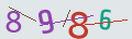verifycode